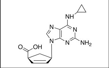 Imagem do Produto Padrão de Abacavir Carboxilato 4- Cas Number: 384380-52-3 - PHARMAFFILIATES Referência: PA 01 01550